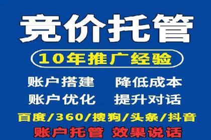 某公司通过百度竞价实现业务快速增长的案例